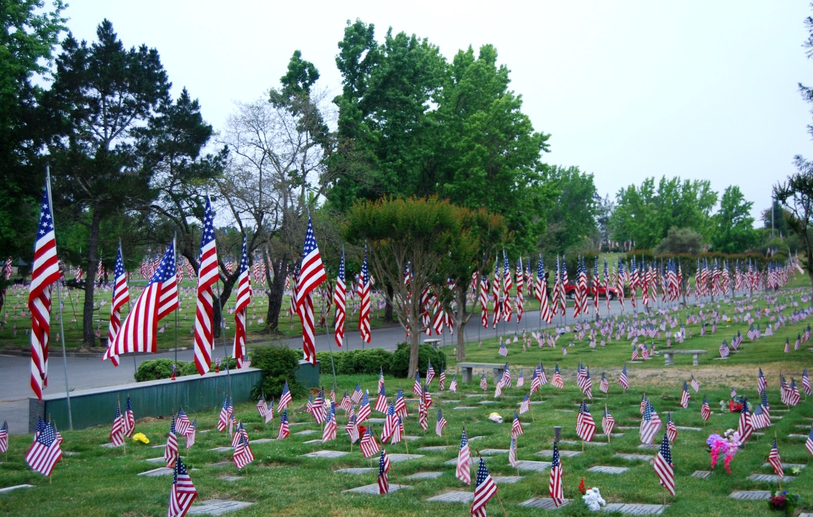 Memorial Day ceremony with American flags at grave markers